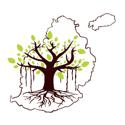 CGMR logo